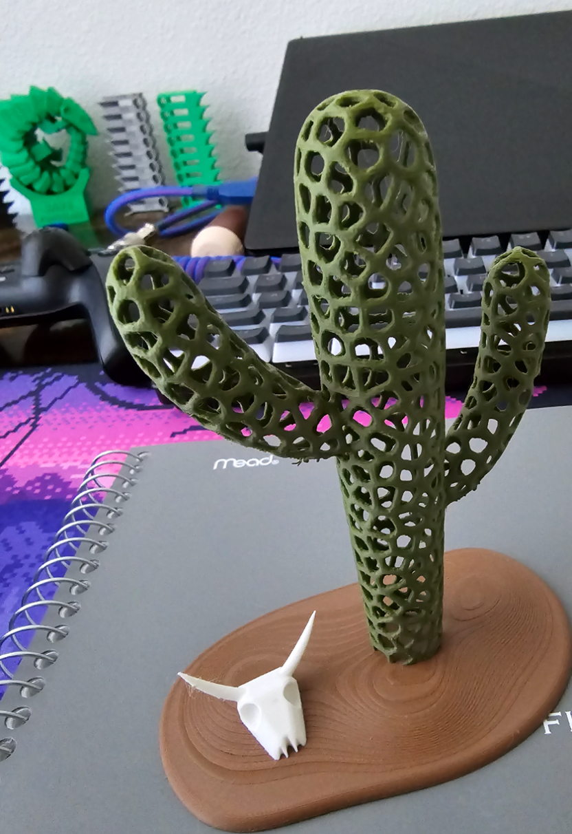 Saguaro Cactus Skeleton – Arizona